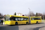 2251-18.jpg