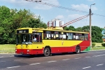 817-155.jpg