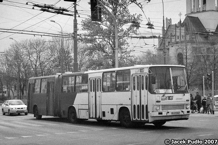 1837
Ikarus na zatrolejbusie - remont placu Bychawskiego. Zapewne gdy w trakcie remontu zamkną dla trolejbusów tunel na Kunickiego to zobaczymy coś podobnego.
