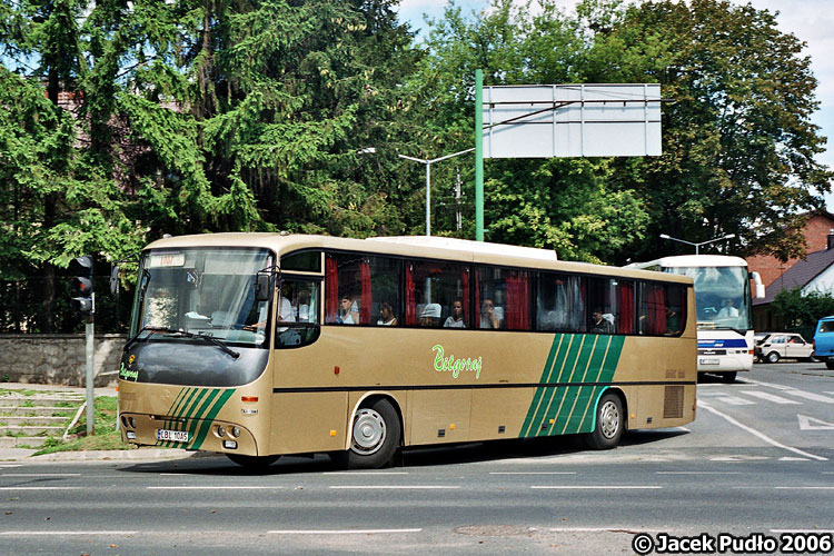 Autosan A1012T #LBL10AS
W celu uczynienia wyglądu swego lidera oryginalnym pks przemalował go na złoty kolor. W sumie nawet mu do twarzy.
