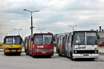 2087-2007-08-31.jpg
