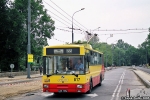 817-155.jpg