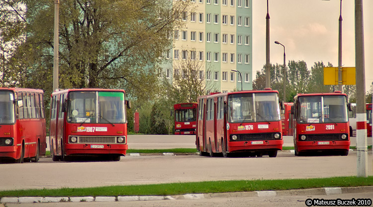 1976 2091 1907
Zarówno widoczne na tym zdjęciu malowanie jak i same autobusy są obecnie na etapie wymierania. 
